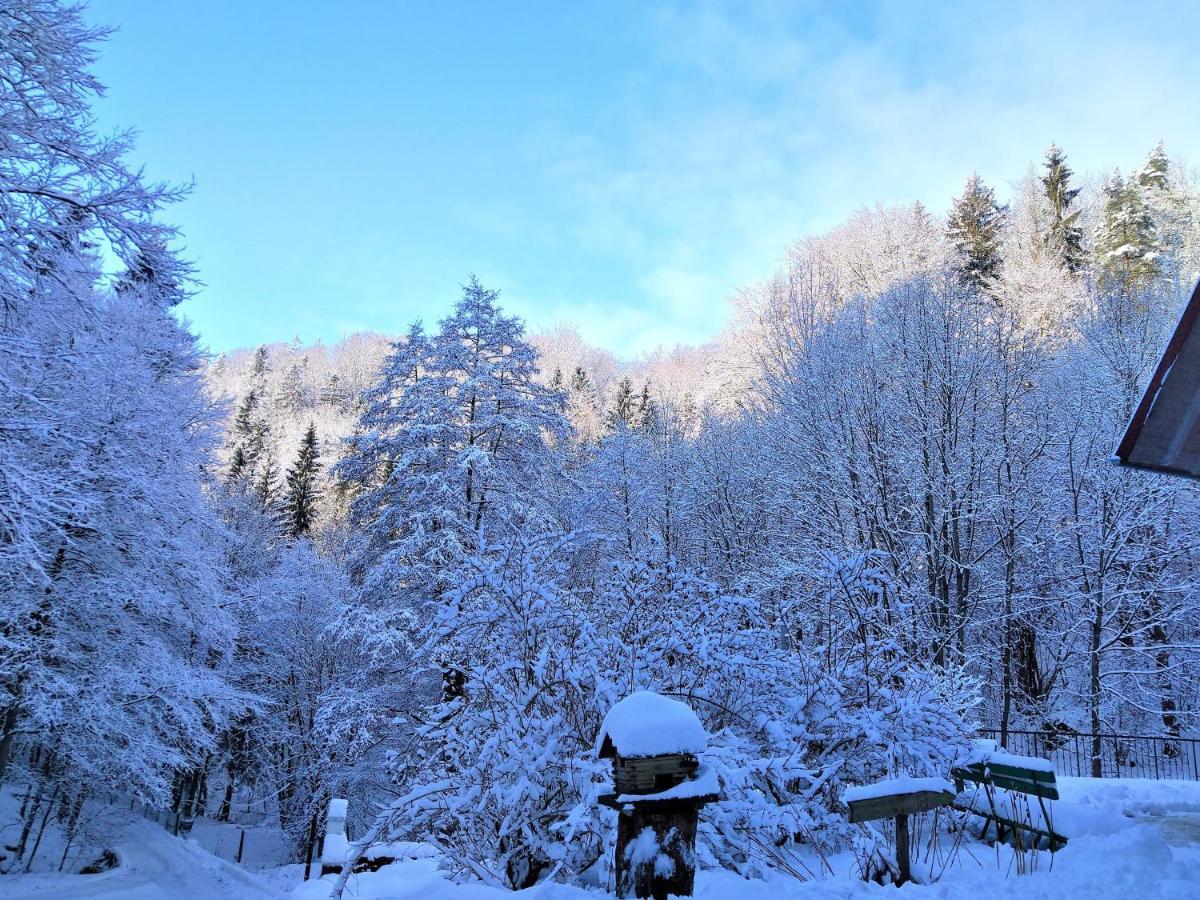Dworek Lesny Kudowa-Zdrój Exterior foto