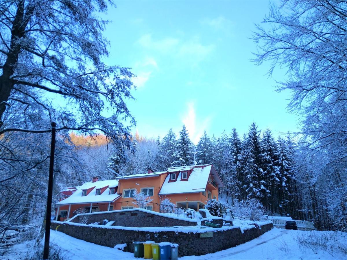 Dworek Lesny Kudowa-Zdrój Exterior foto